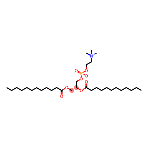 1,2-二十二酰基-sn-glycero-3-胆碱磷酸 (DLPC)