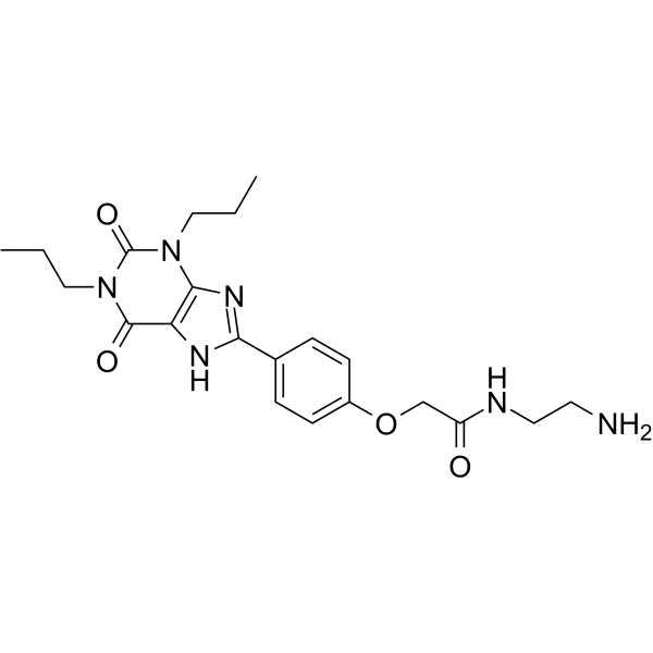 Xanthine amine congener