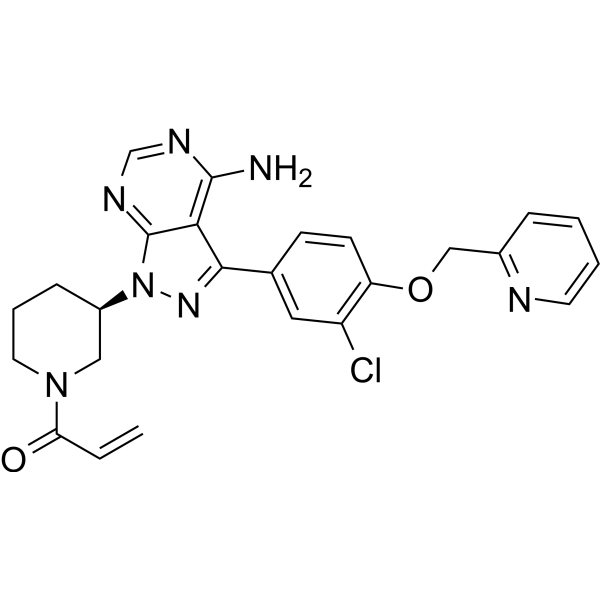 CHMFL-EGFR-202