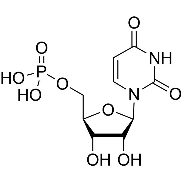Uridine 5'-monophosphate