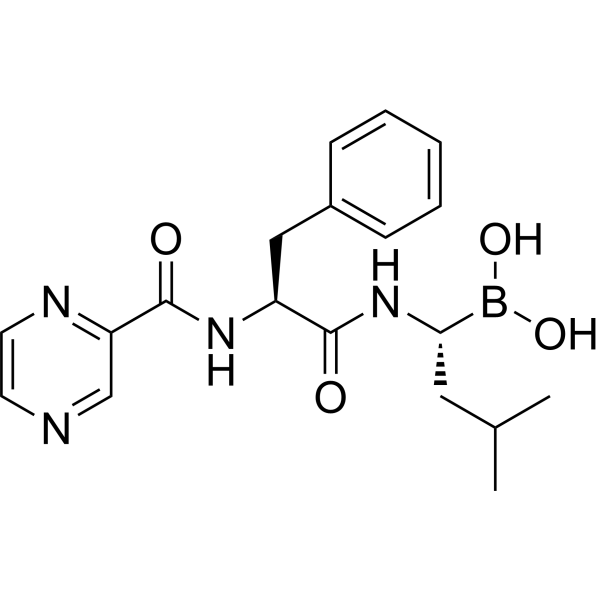 Bortezomib
