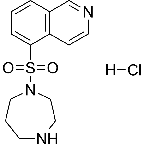 Fasudil Hydrochloride (Standard)