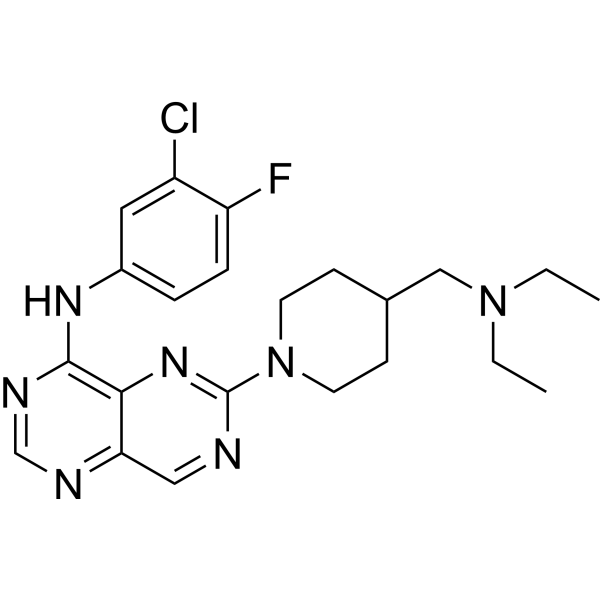 BIBU1361