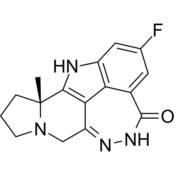 Pamiparib
