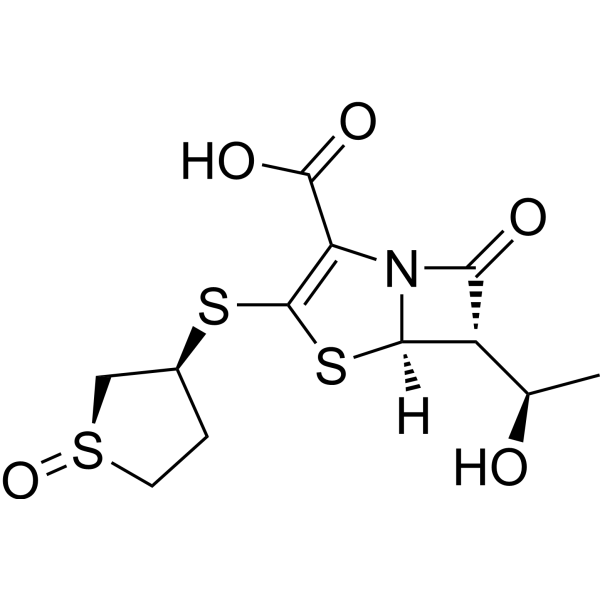 Sulopenem (Standard)
