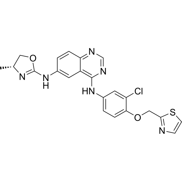 Varlitinib