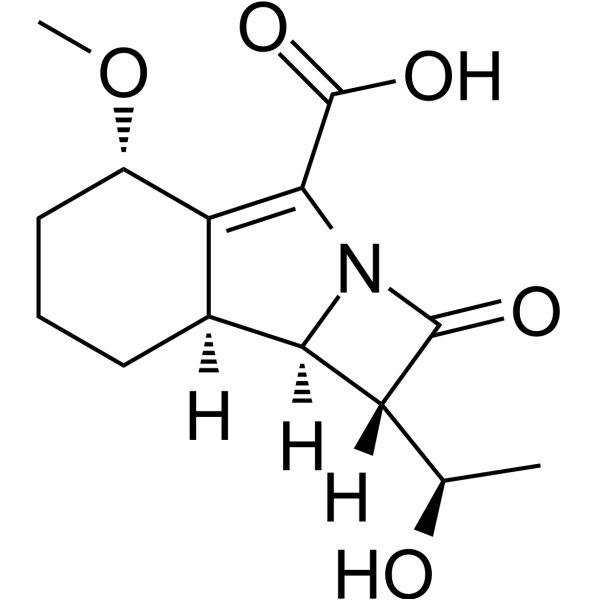Sanfetrinem