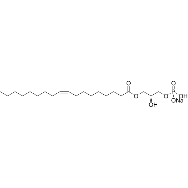 1-Oleoyl lysophosphatidic acid sodium