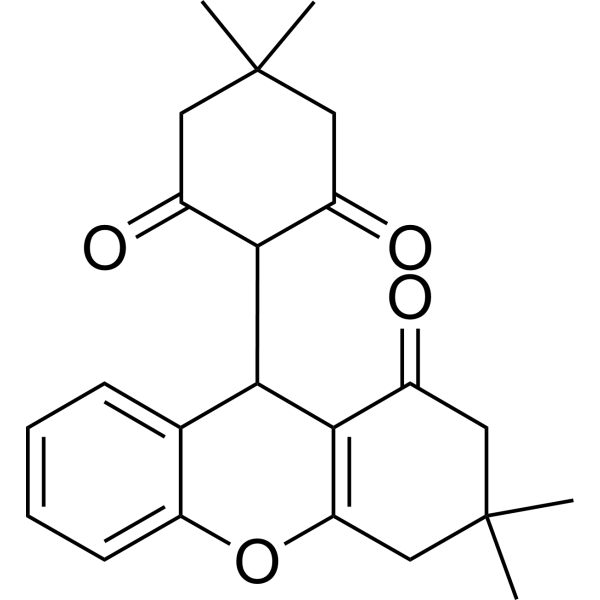L 152804