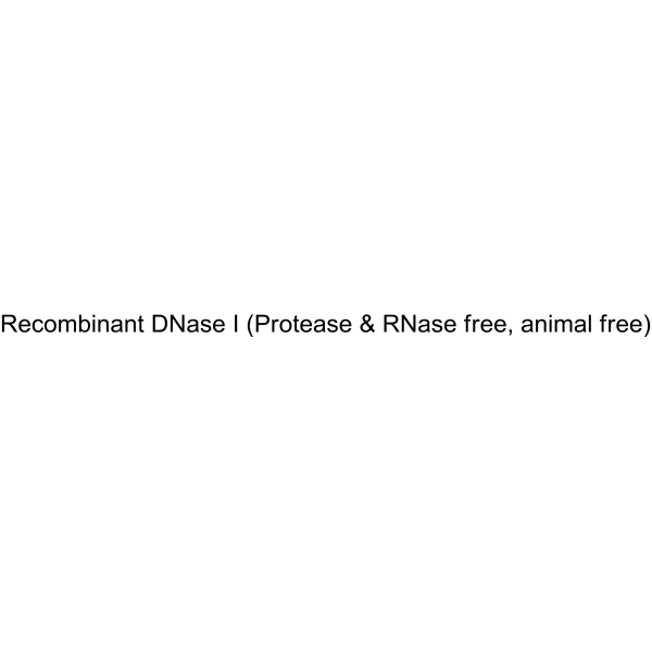 Recombinant DNase I Protease & RNase free, animal free