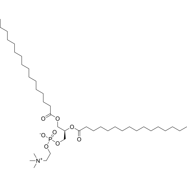 DPPC (Standard)