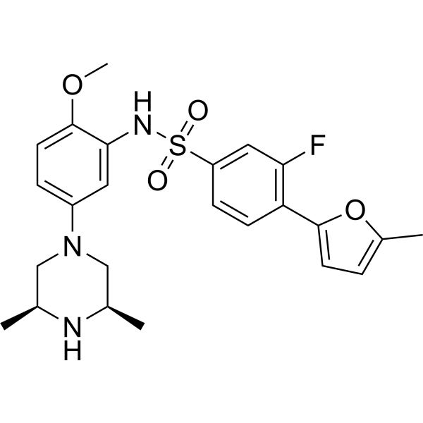 GSK894281