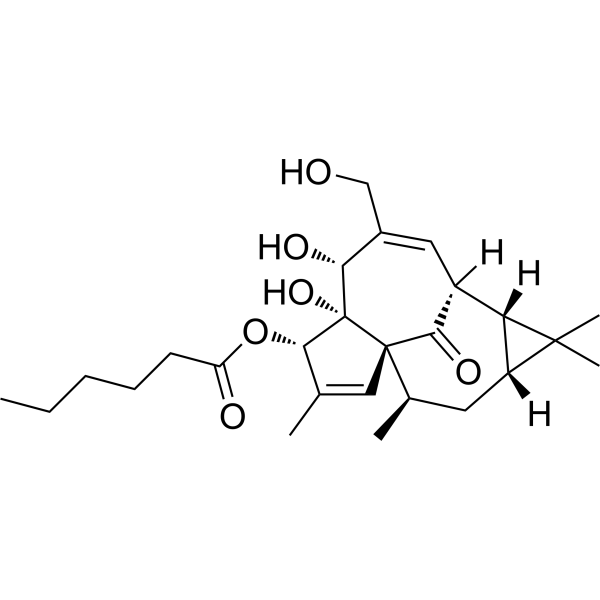 Ingenol 3-Hexanoate
