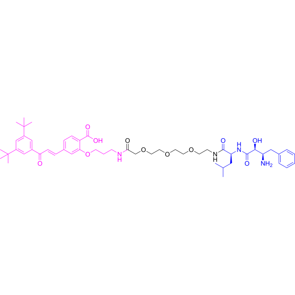 PROTAC RAR Degrader-1