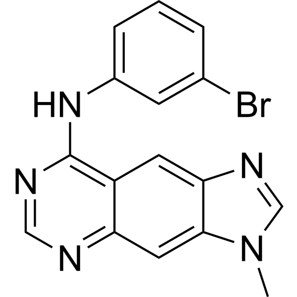 BPIQ-I
