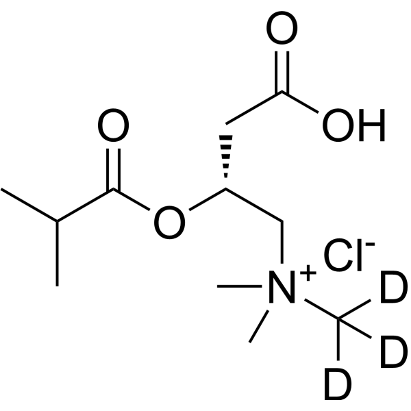 Isobutyryl-L-carnitine-d3 chloride