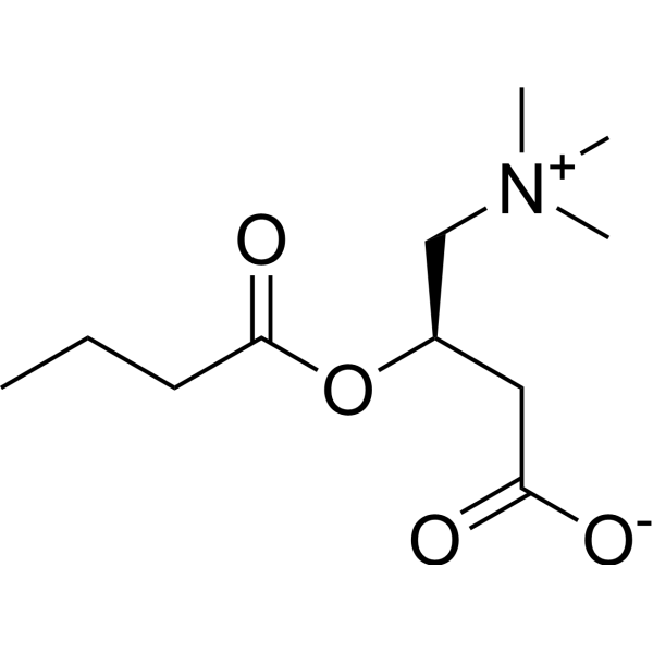 Butyrylcarnitine (Standard)