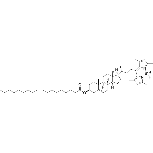 BODIPY 480/508-cholesteryl oleate