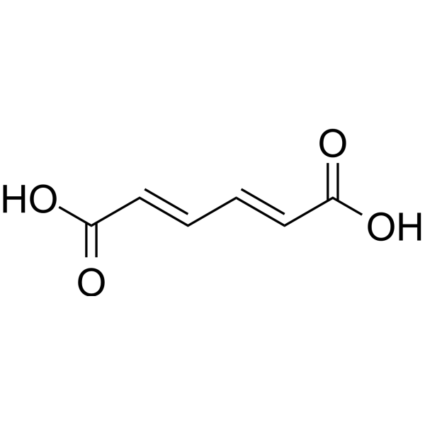 trans-trans-Muconic acid (Standard)