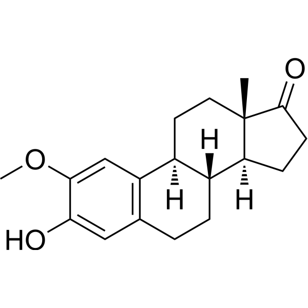 2-Methoxyestrone (Standard)