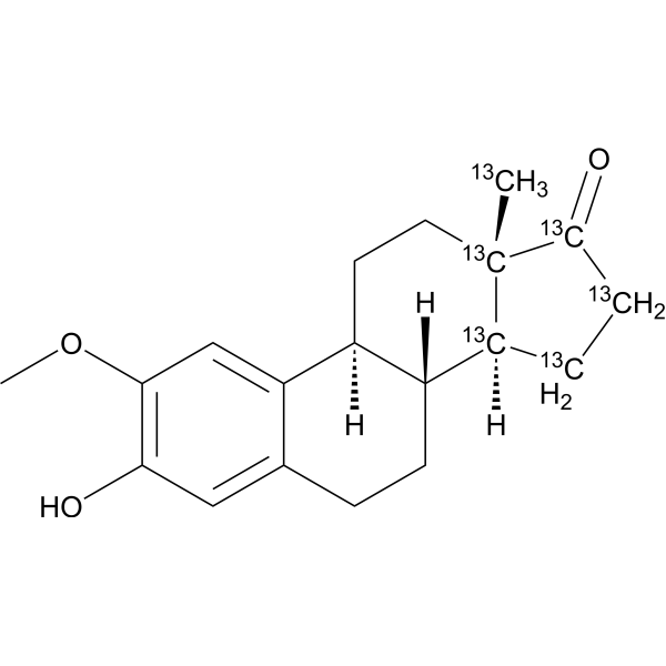 2-Methoxyestrone-13C6