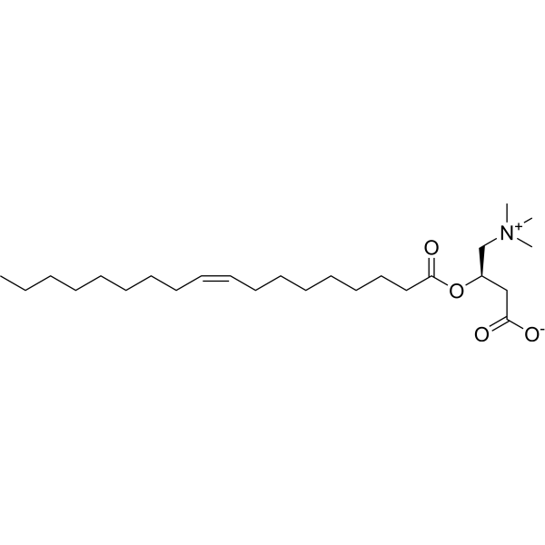 Oleoylcarnitine (Standard)