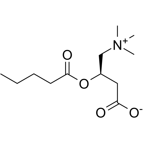 Valerylcarnitine