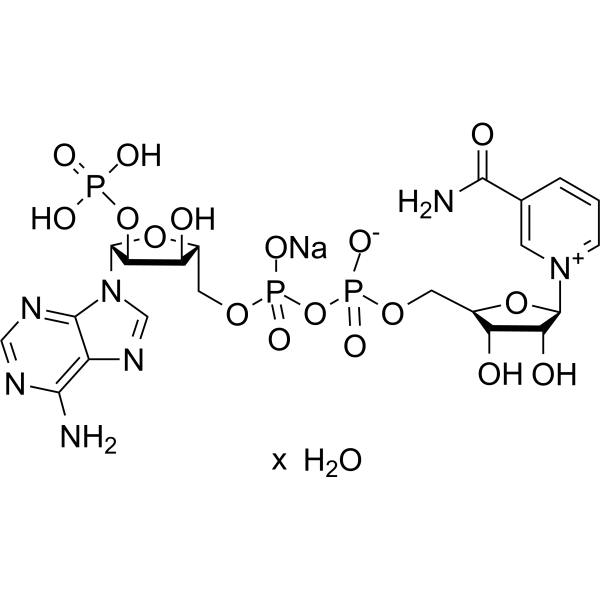 NADP sodium hydrate