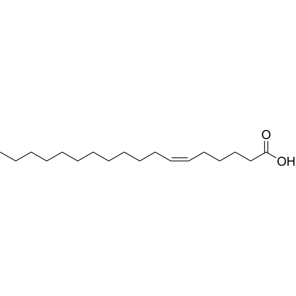Petroselinic acid (Standard)