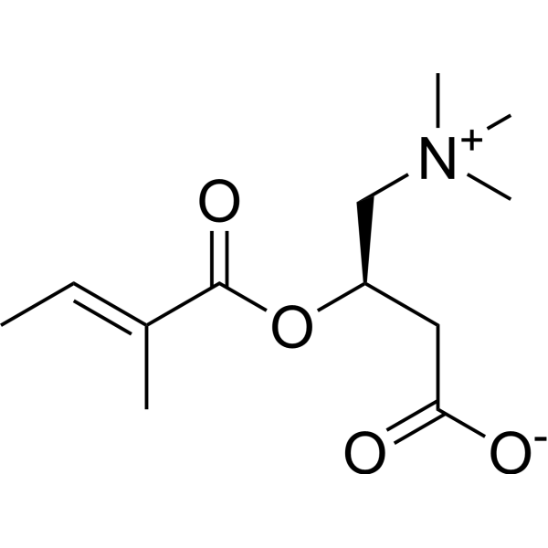 Tiglyl carnitine (Standard)