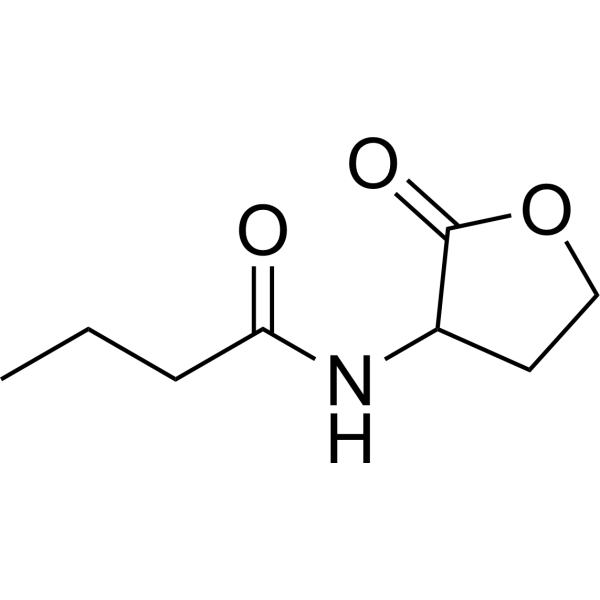 N-Butanoyl-DL-homoserine lactone (Standard)
