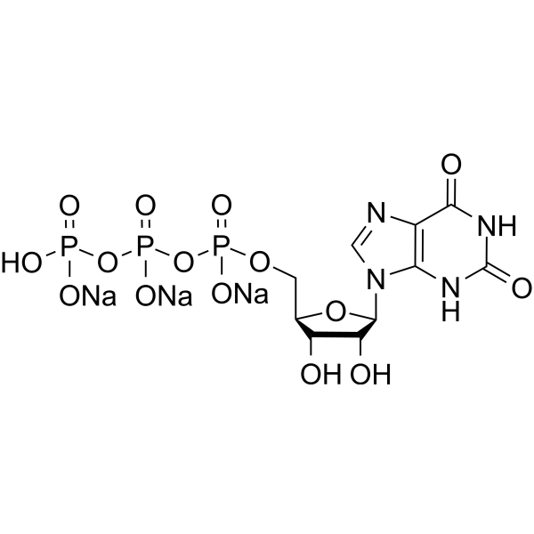 Xanthosine-5'-Triphosphate trisodium