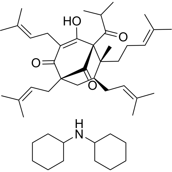 Hyperforin dicyclohexylammonium salt (Standard)