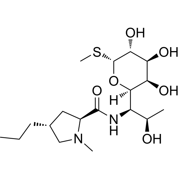 Lincomycin (Standard)
