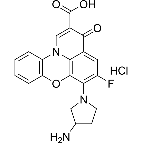 A 62176 hydrochloride