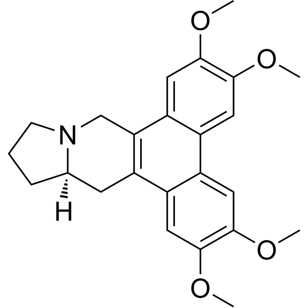 (-)-Tylophorine