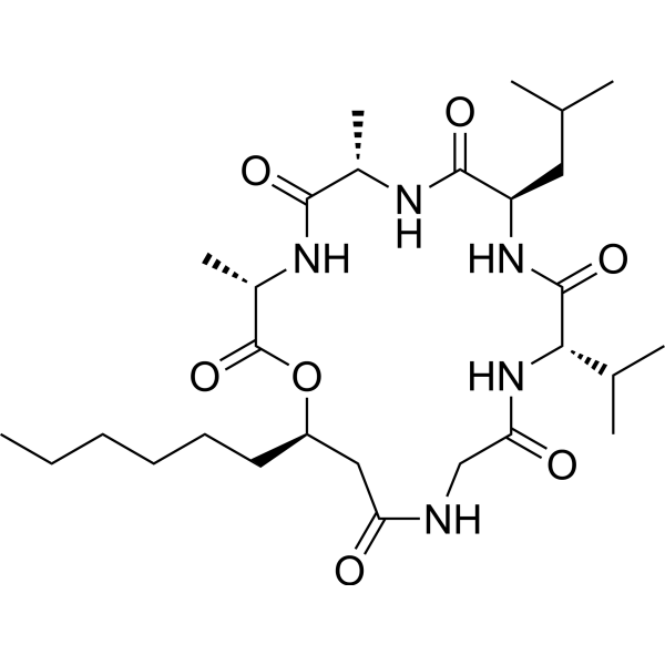 Isariin C