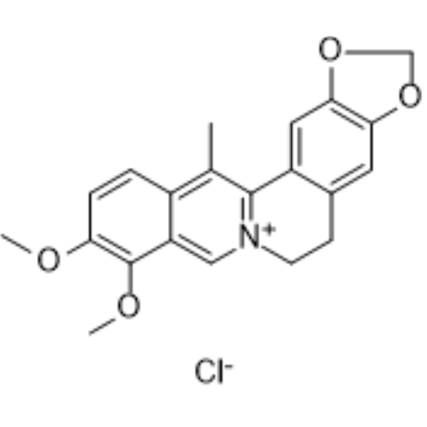 13-Methylberberine chloride