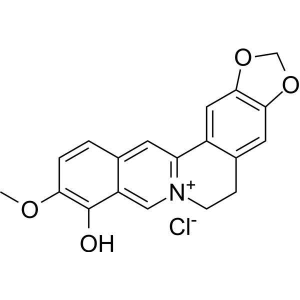 Berberrubine chloride