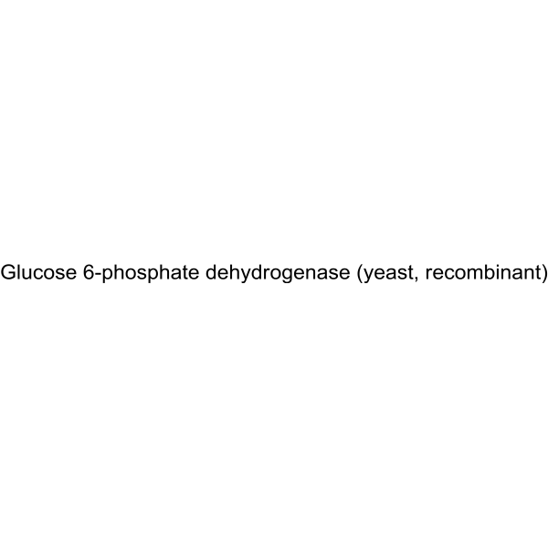 Glucose 6-phosphate dehydrogenase (yeast, recombinant)