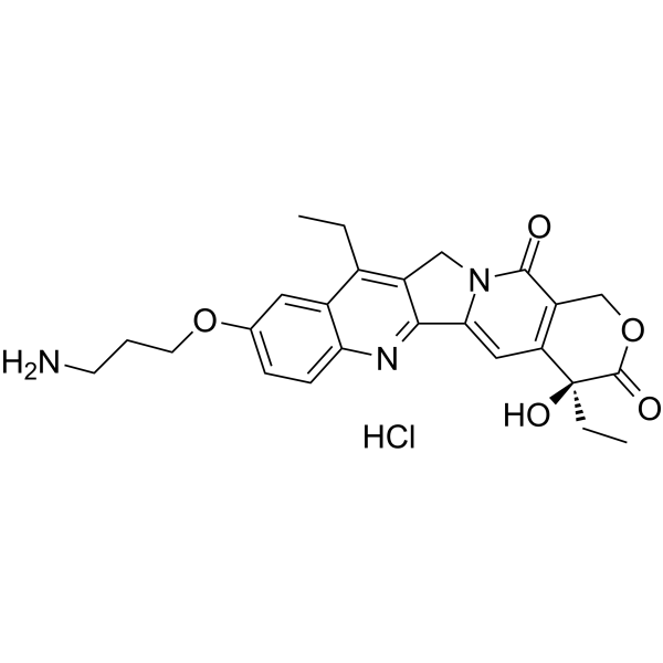 T-2513 hydrochloride