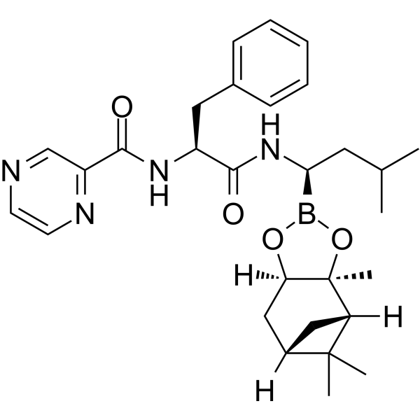 Bortezomib-pinanediol