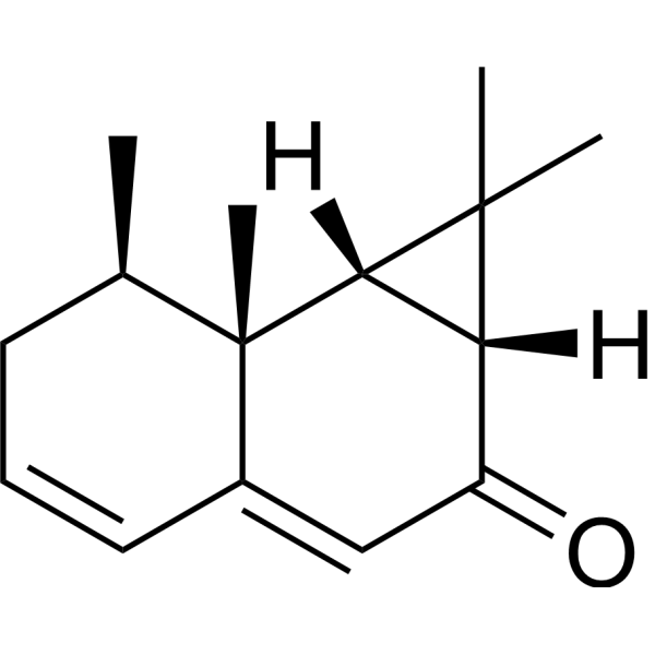 Kanshone H