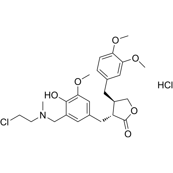 Arctigenin mustard