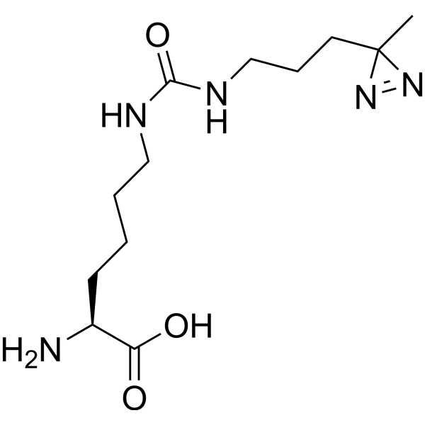 DiZPK