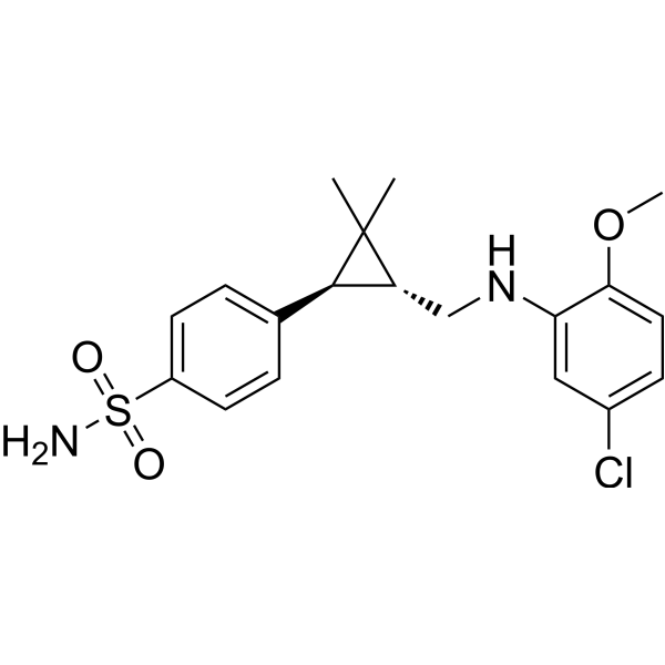 BNC375