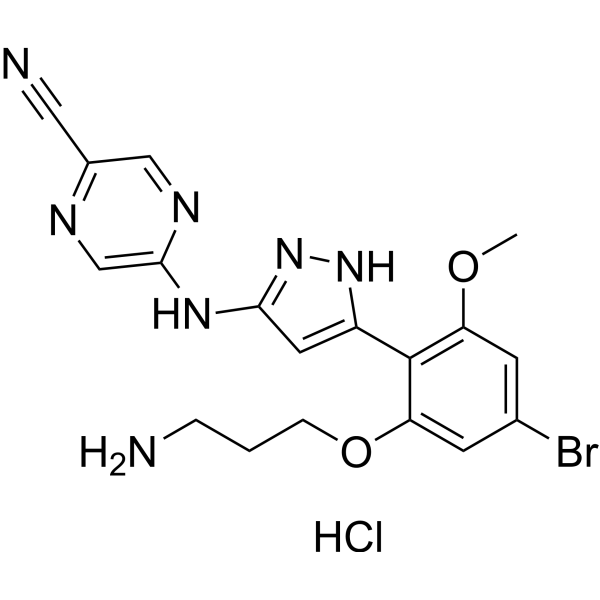 CHK1-IN-4 hydrochloride