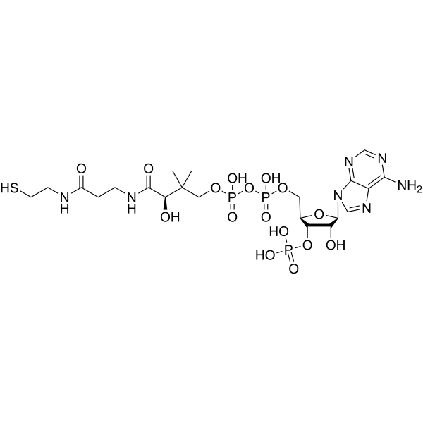 Coenzyme A (Standard)