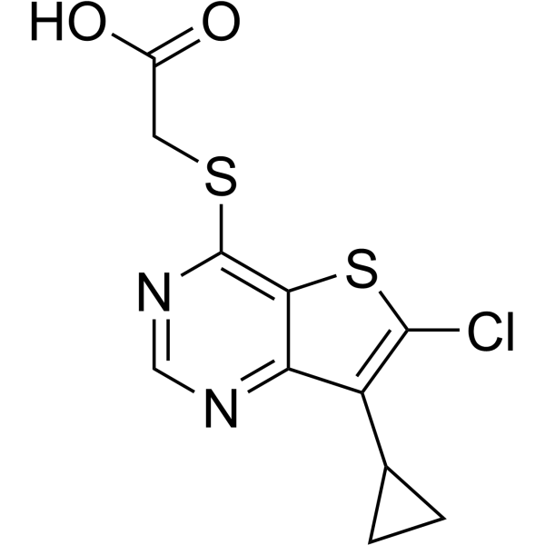 LP-922056