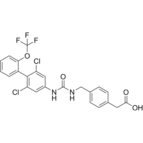 RORγt inverse agonist 13